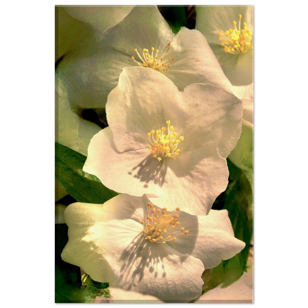 tmp-417-JsJTL1ZGCOOY