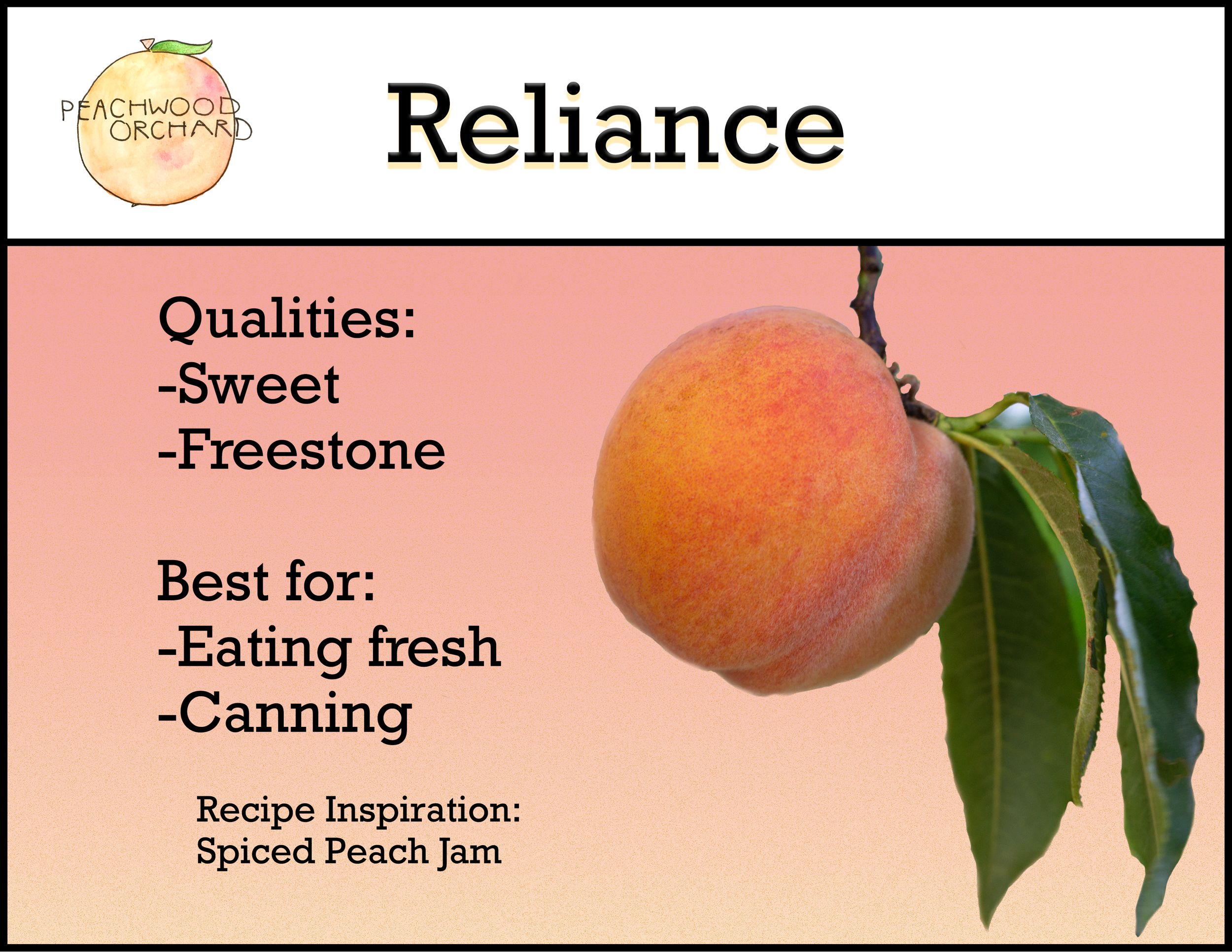 Reliance Peach - Variety Sheet.png