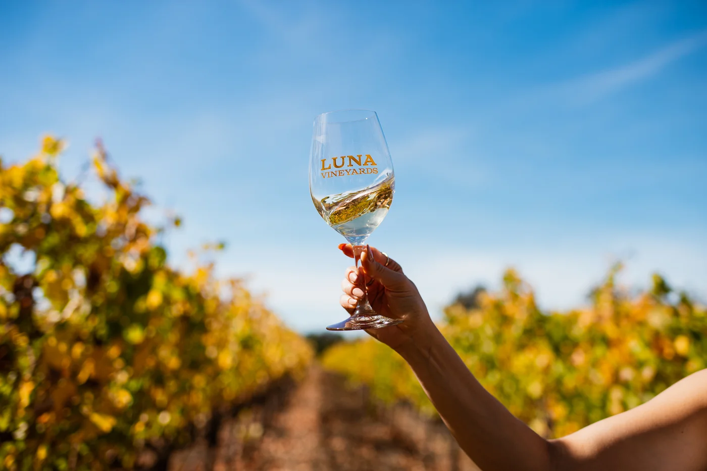 PHOCO Photography LITV20 Live in the Vineyard Event Music Festival Napa California-5.jpg