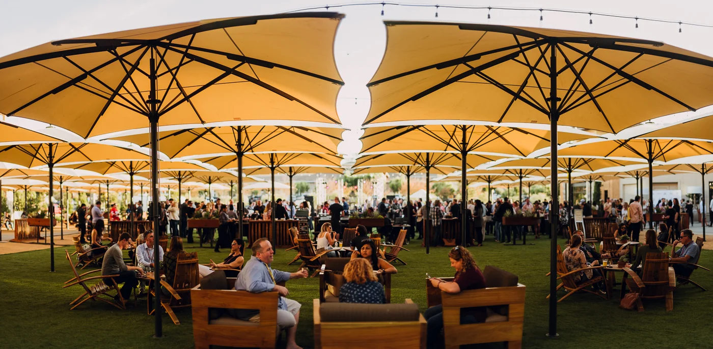 PHOCO Photography LITV20 Live in the Vineyard Event Music Festival Napa California-7.jpg