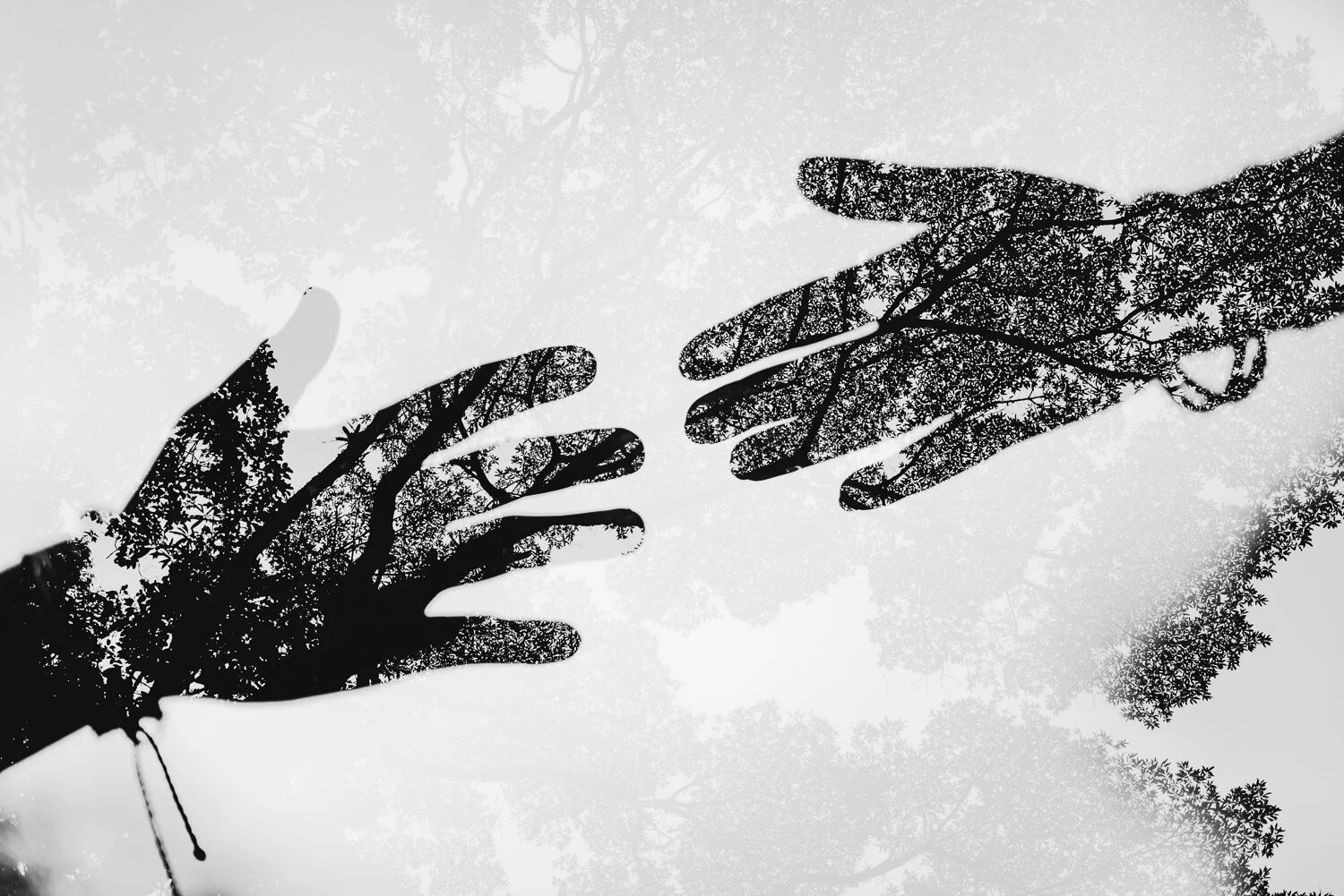 How to Keep Your Business Flowing (Amidst a Global Pandemic)