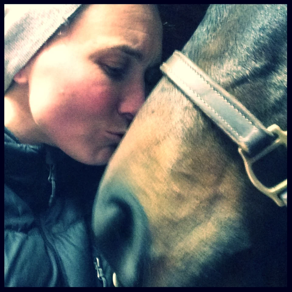 The Little Girl Who Loved Horses