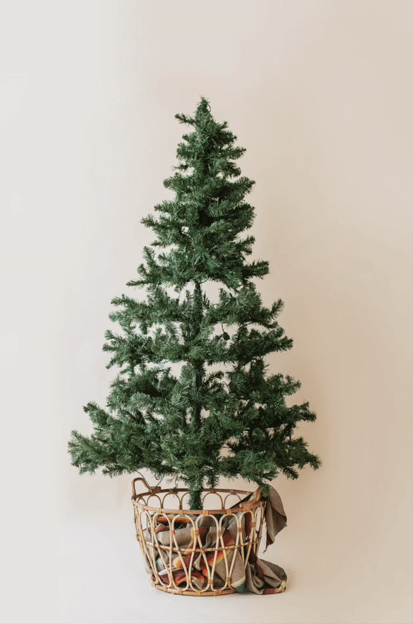 Decorating a Tree 101 — DUNE