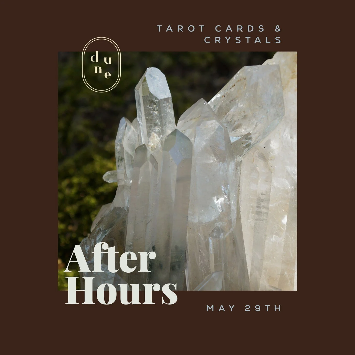 🔮Emily is back this month with her beloved Tarot readings!

Spend the evening exploring your energy through intuitive card readings and personalized crystal guidance.
After your reading, you'll receive a tailored crystal and stone prescription highl