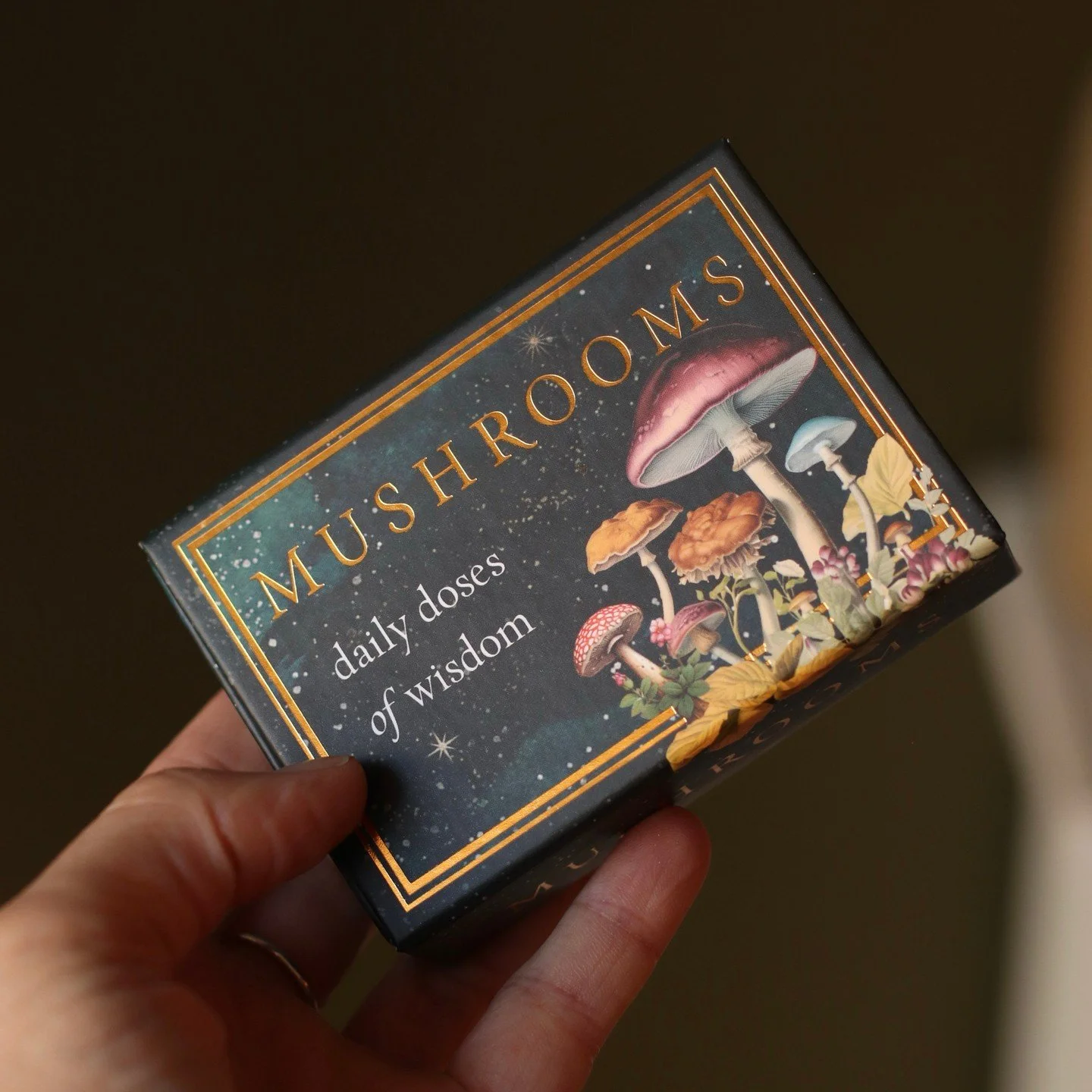 🍄&zwj;🟫This pocket sized deck is sure to enchant!

&ldquo;Practical and down-to-earth wisdom from our most ancient and magical ancestors. The woodlands whisper and mushrooms hold its secrets. Tiny, mysterious, and wise, fungi are among the oldest t