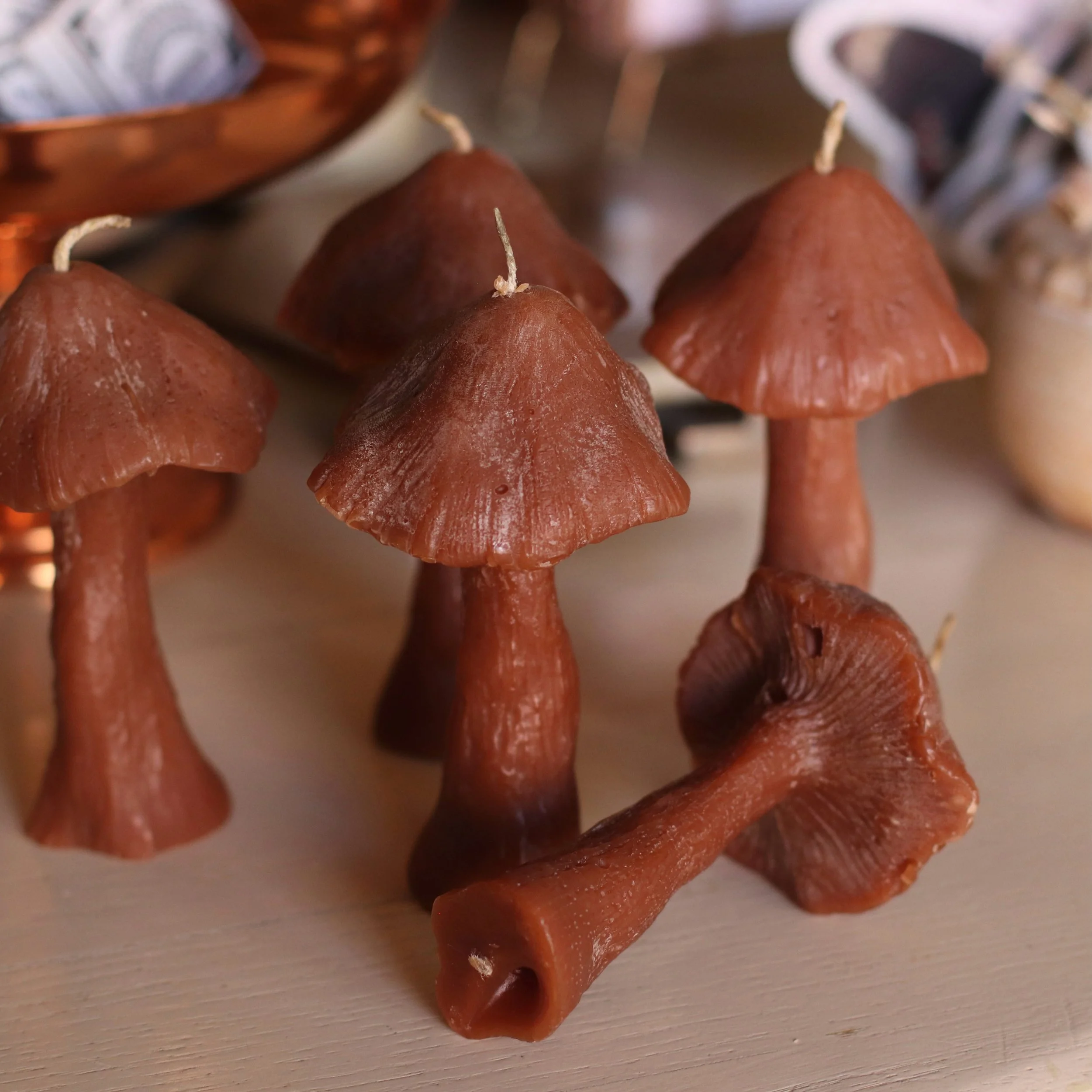 These 100% beeswax candles are hand made locally by 
@thewaxpantrywi ~ popular as gifts and even more fun to collect for yourself! Add some whimsy to you home with these magic little candles! 

#dunegiftandhome #mushroomcandles #shopsmall #stoughtonw