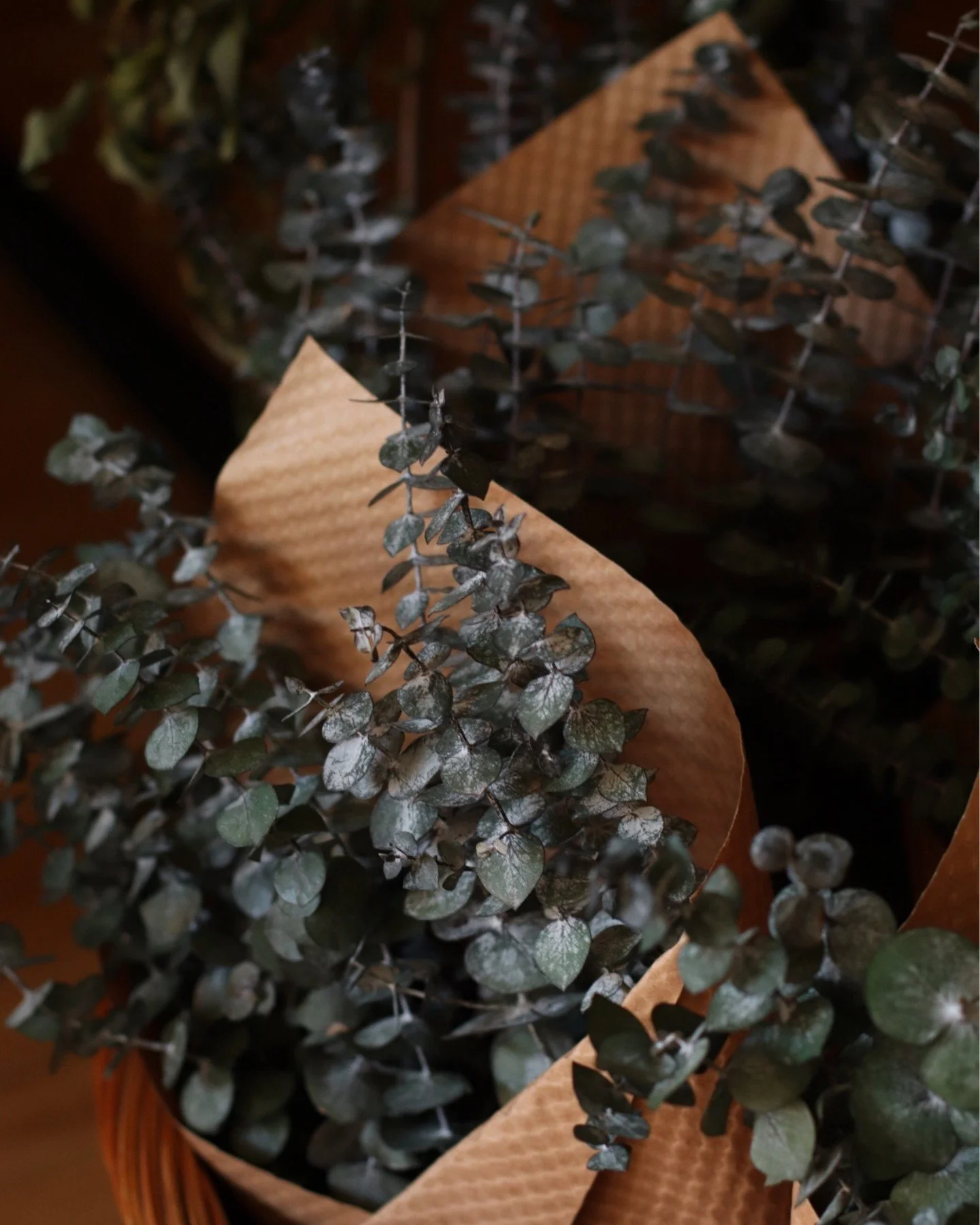 As you know we are a big fan of preserved and dried flora, these Eucalyptus bunches smell like heaven and will add a fresh natural scent to any room of your home!