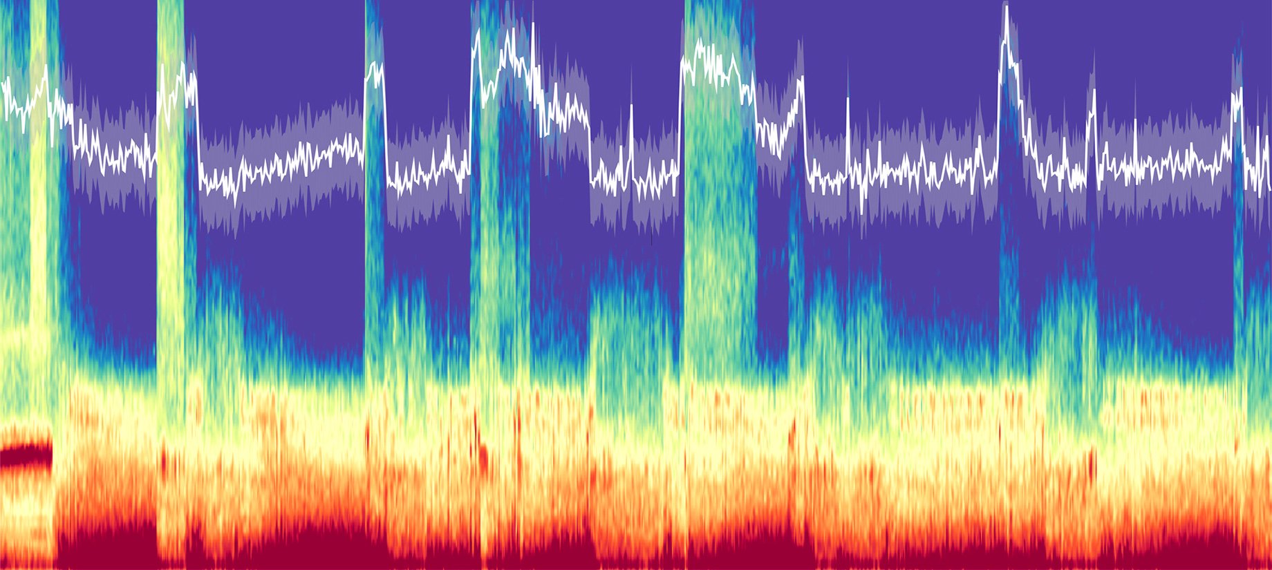 Lendner_spectogram.jpg