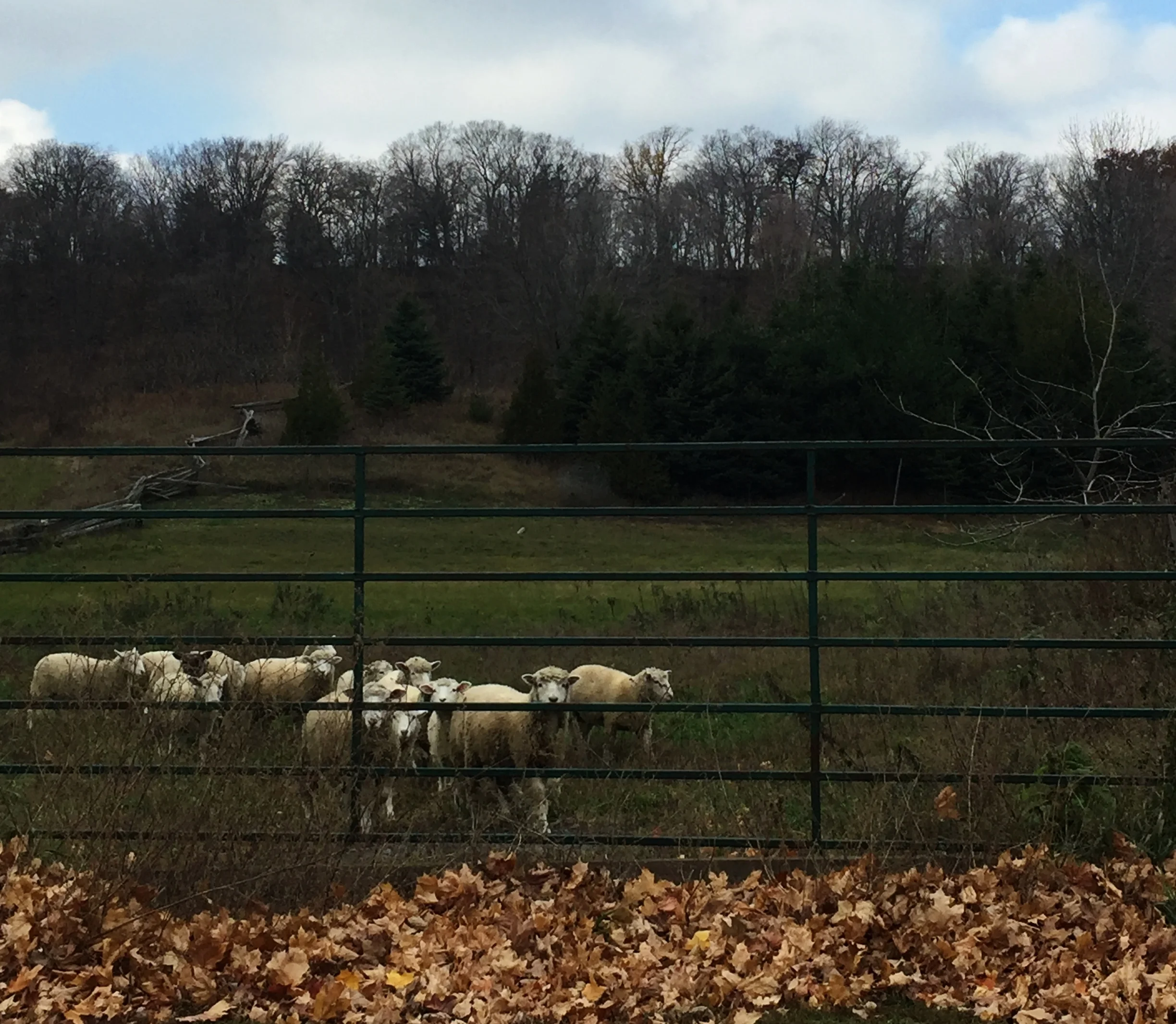 ob-sessed: october edition