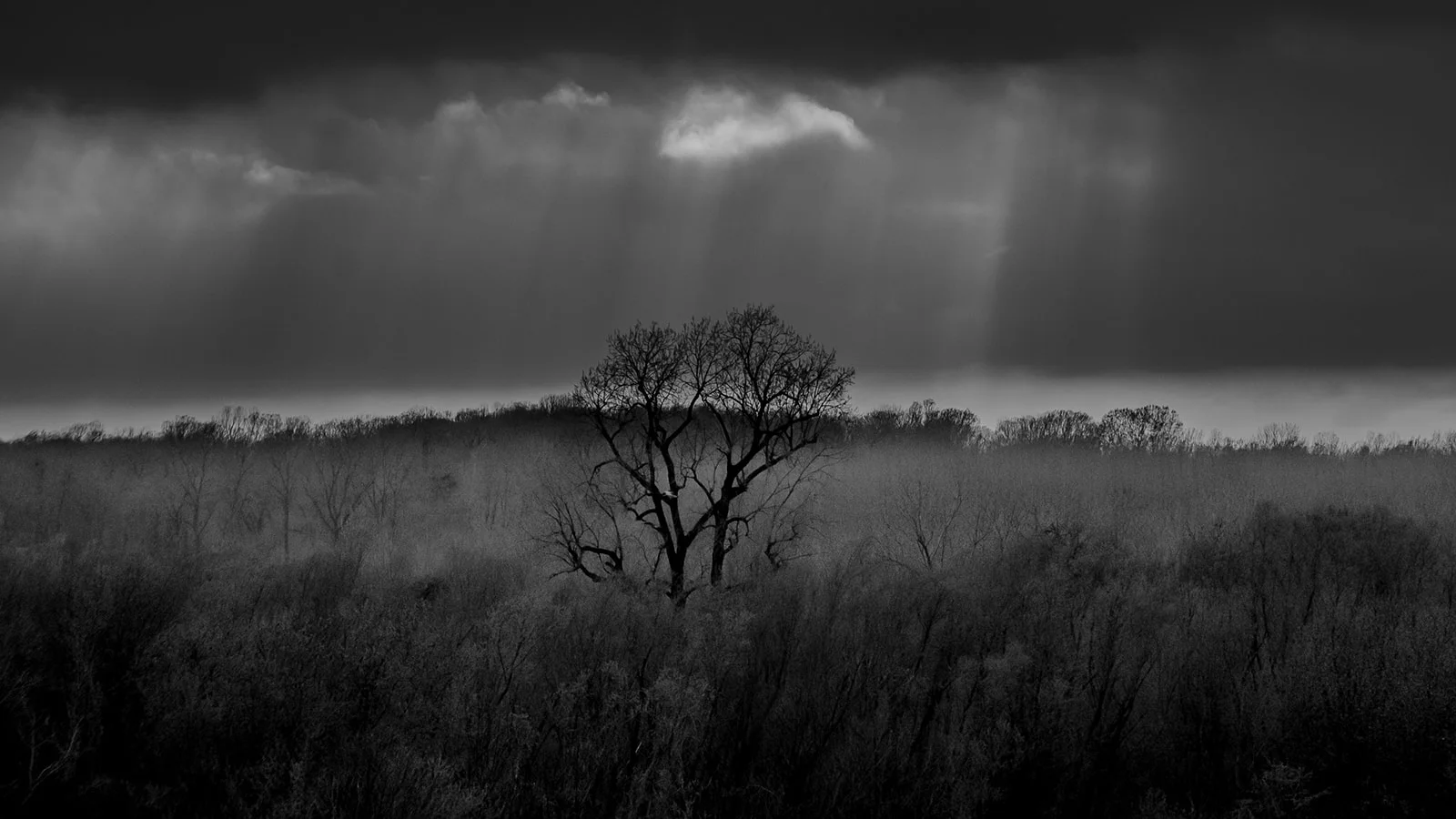 80113CAB-4862-4D53-8634-1270E399C9FD