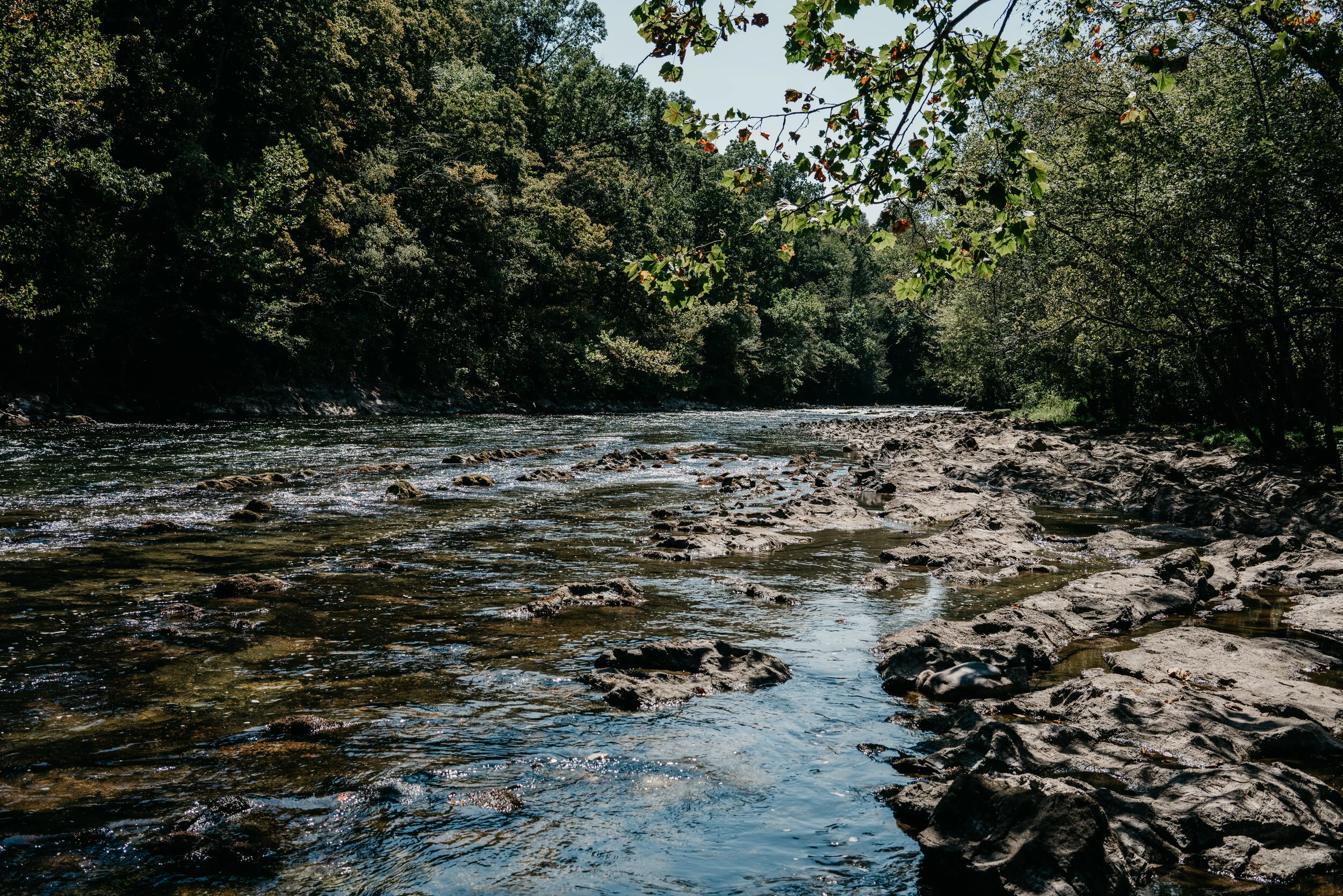 Watauga River