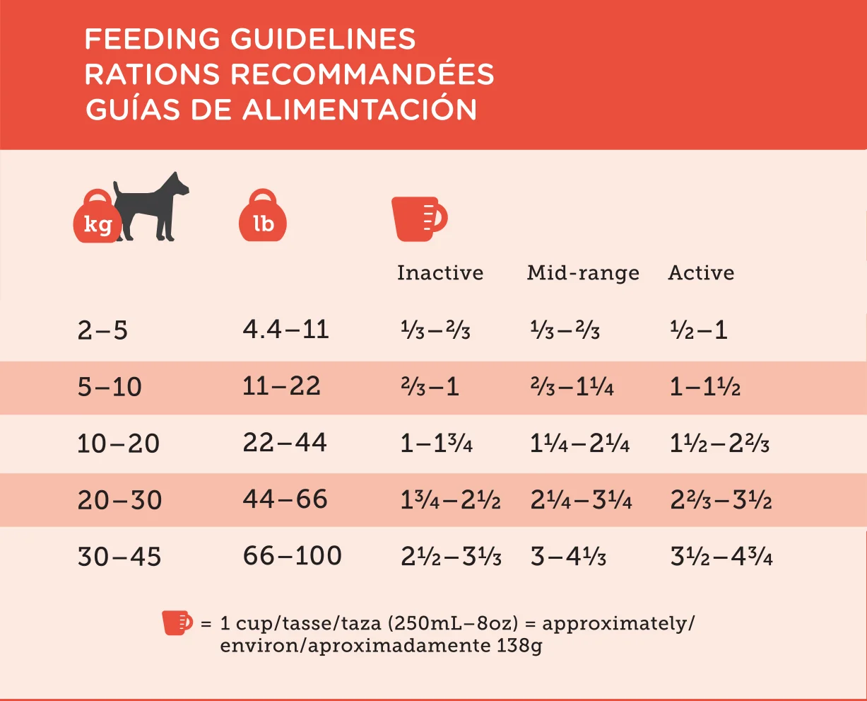 Lamb and Rice feeding guideline.jpg