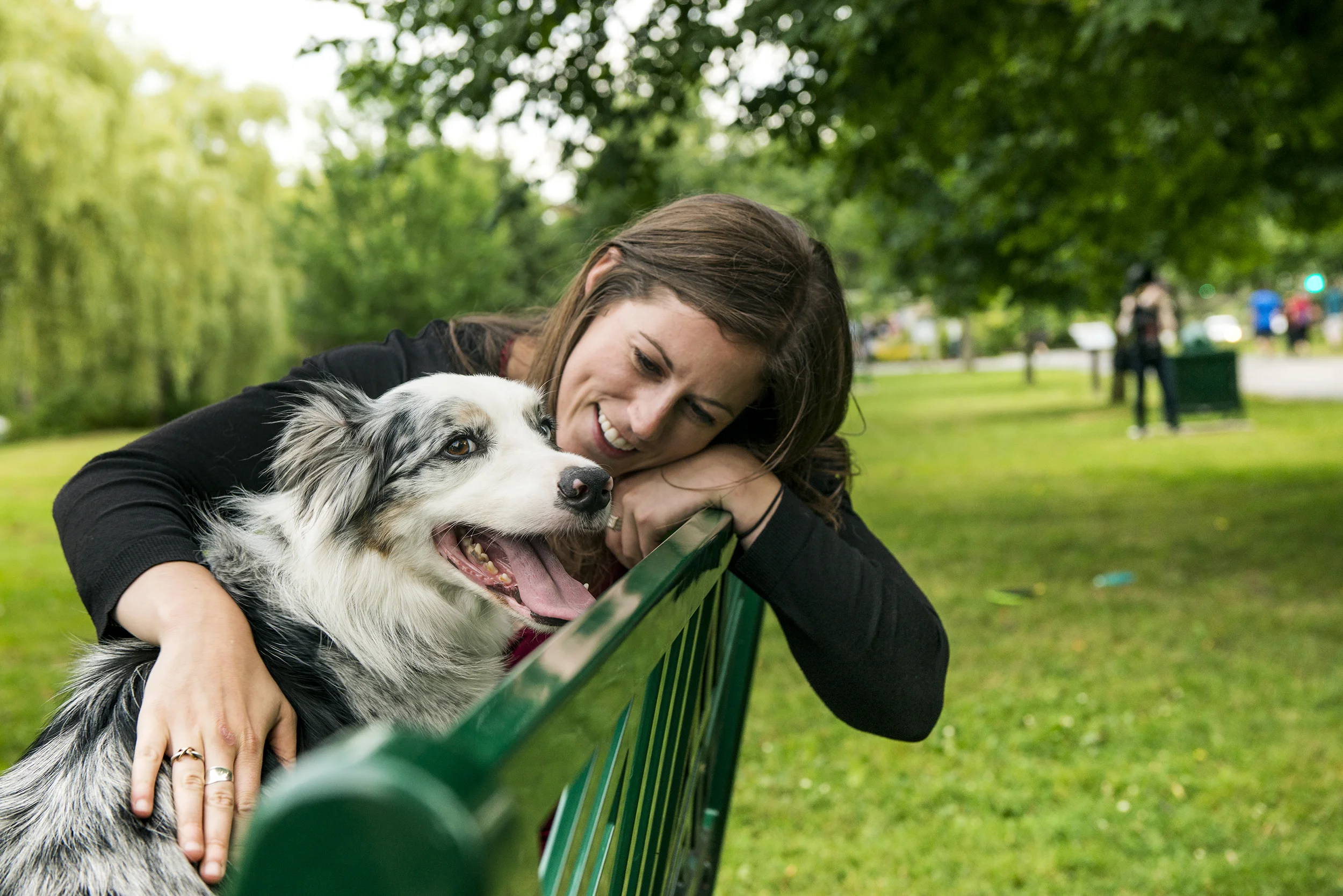 canidae store locator