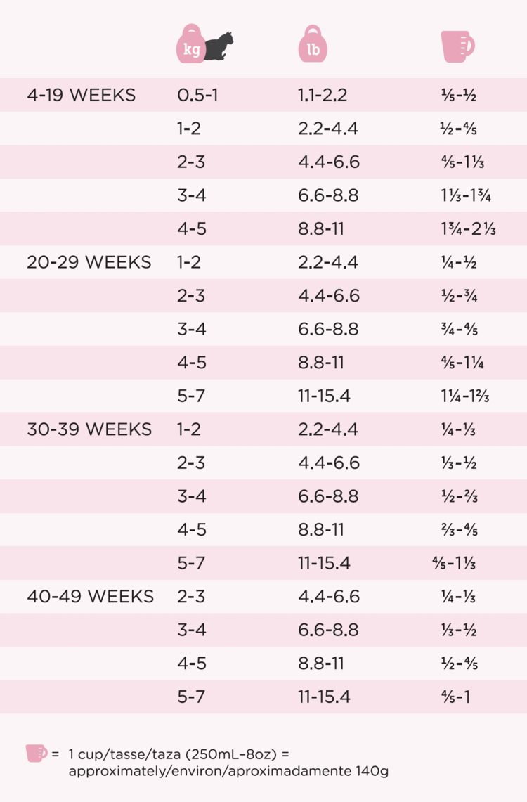 PS Kitten Feeding Guide.png