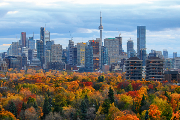 What Would You Ask The Province To Do