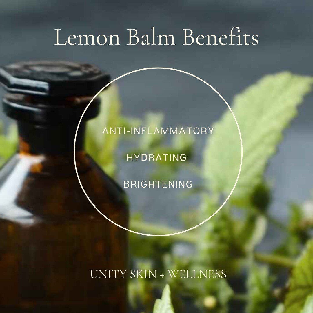 LEMON BALM // Lemon balm, also known as Melissa officinalis, is an herb from the mint family that has been used for centuries for its various health benefits. It has been used for digestive aid, cognitive function, improvement of sleep, and relieving