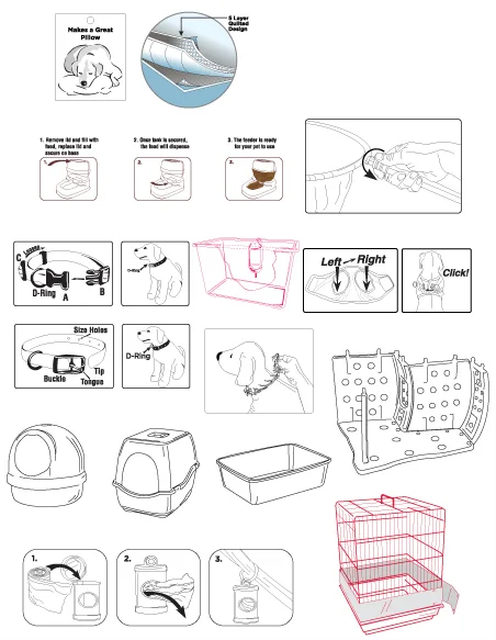 PETCO_Illustrations.jpg
