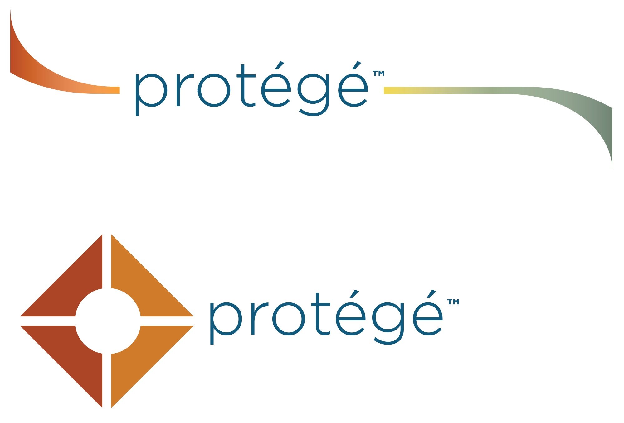 Walmart Private Brand Luggage Logo Design 2023