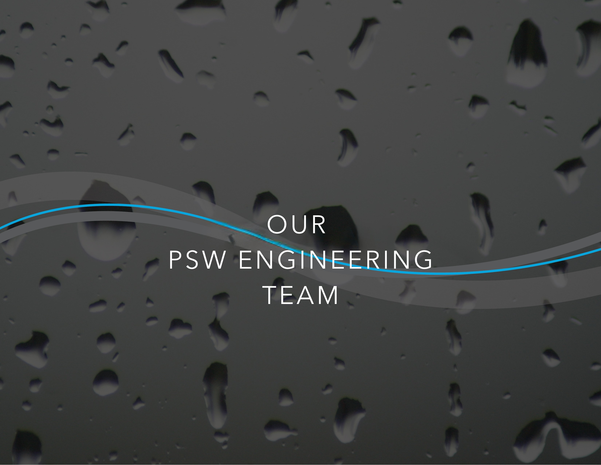 THE PSW ENGINEERING TEAM.png