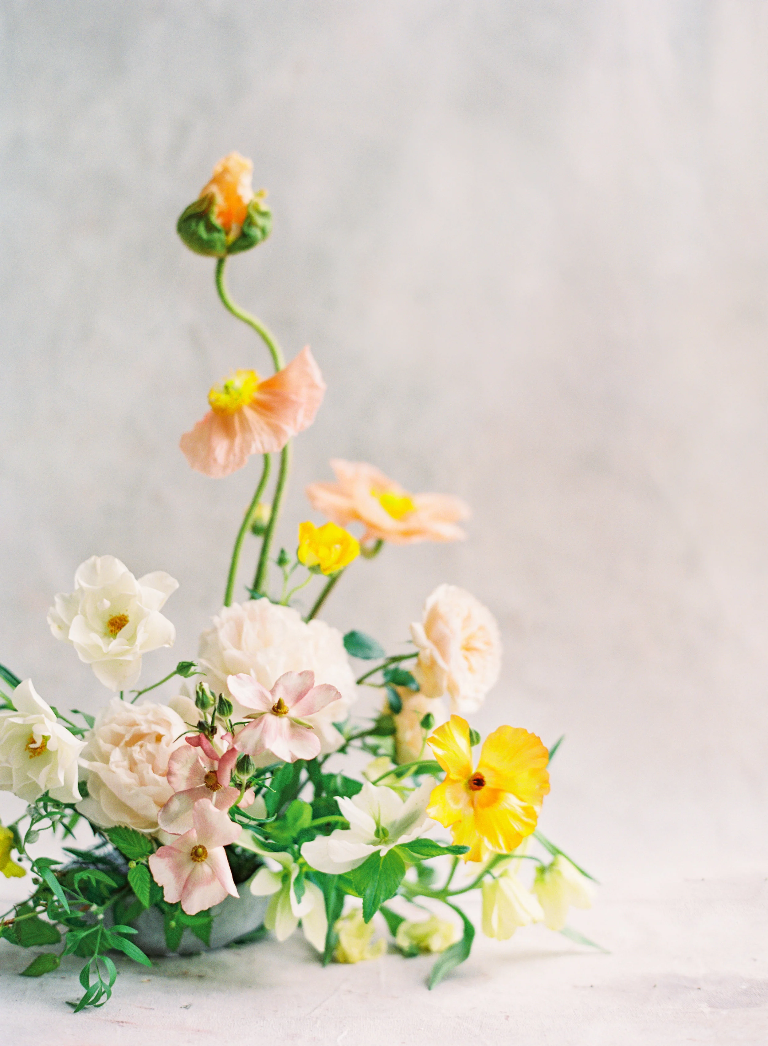 the-floral-society-spring-2018-42-Jen_Huang-002123-R1-007.jpg