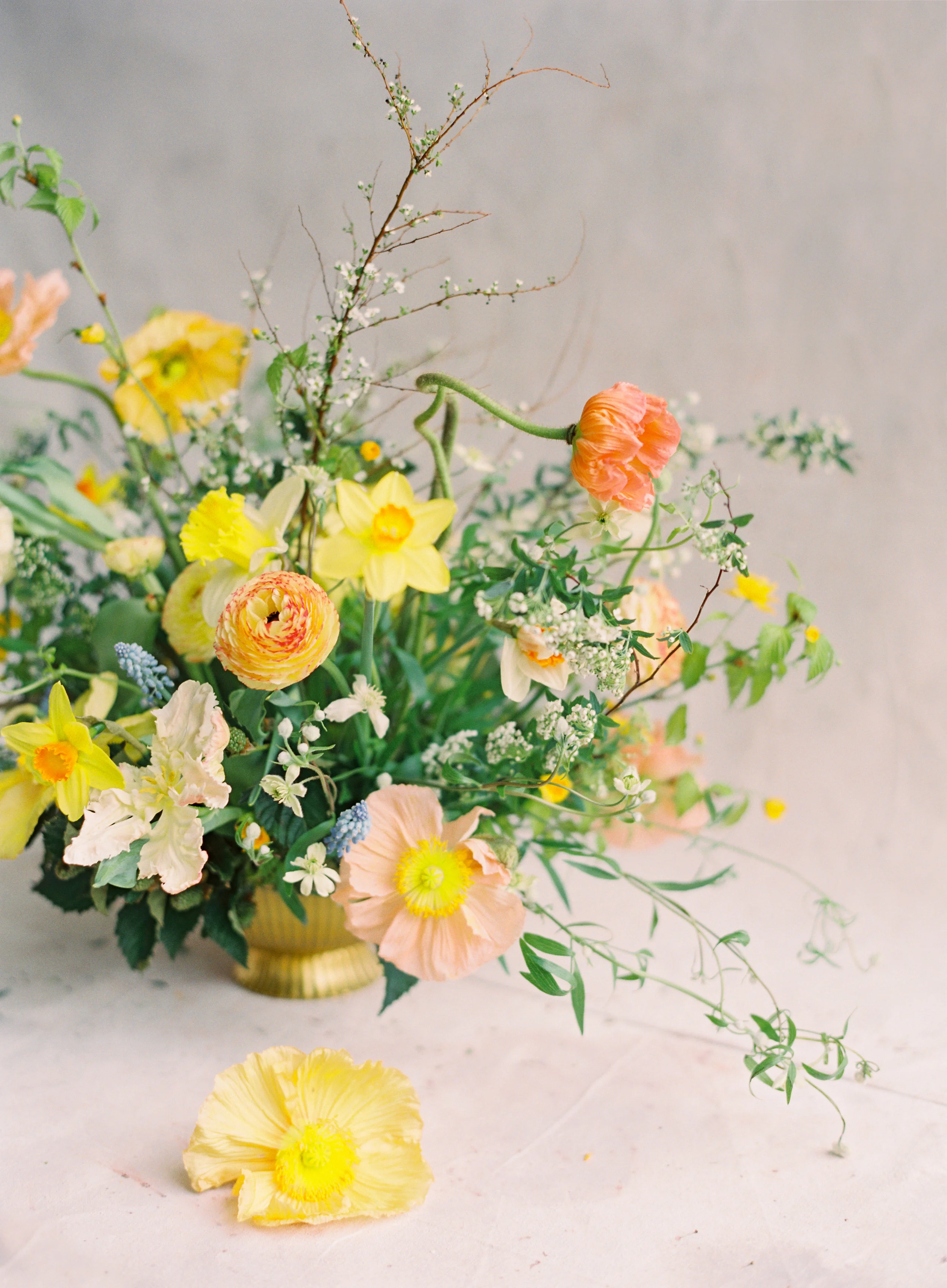 the-floral-society-spring-2018-85-Jen_Huang-002126-R1-002.jpg