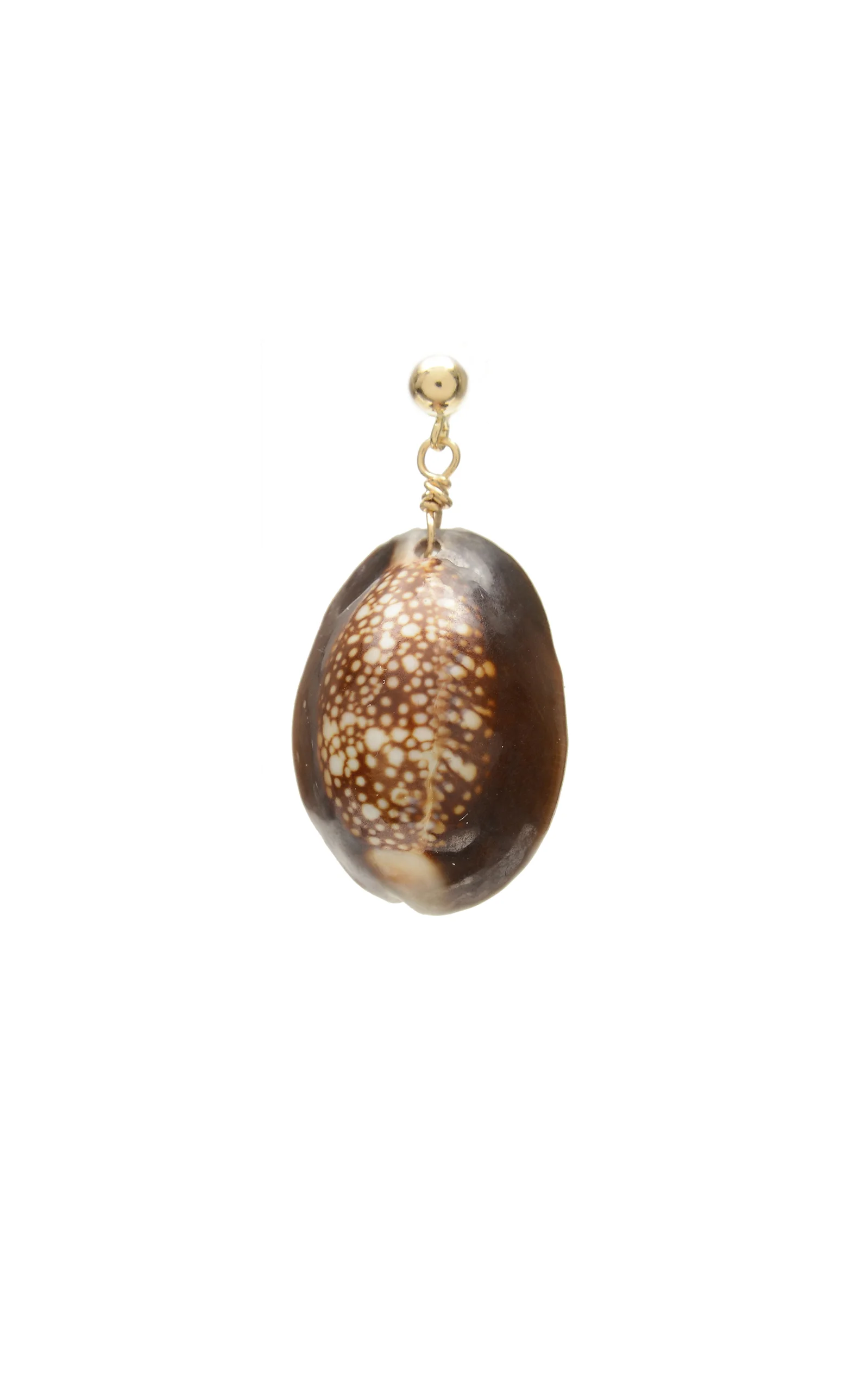 SVNR_droplet_cowrie.jpg