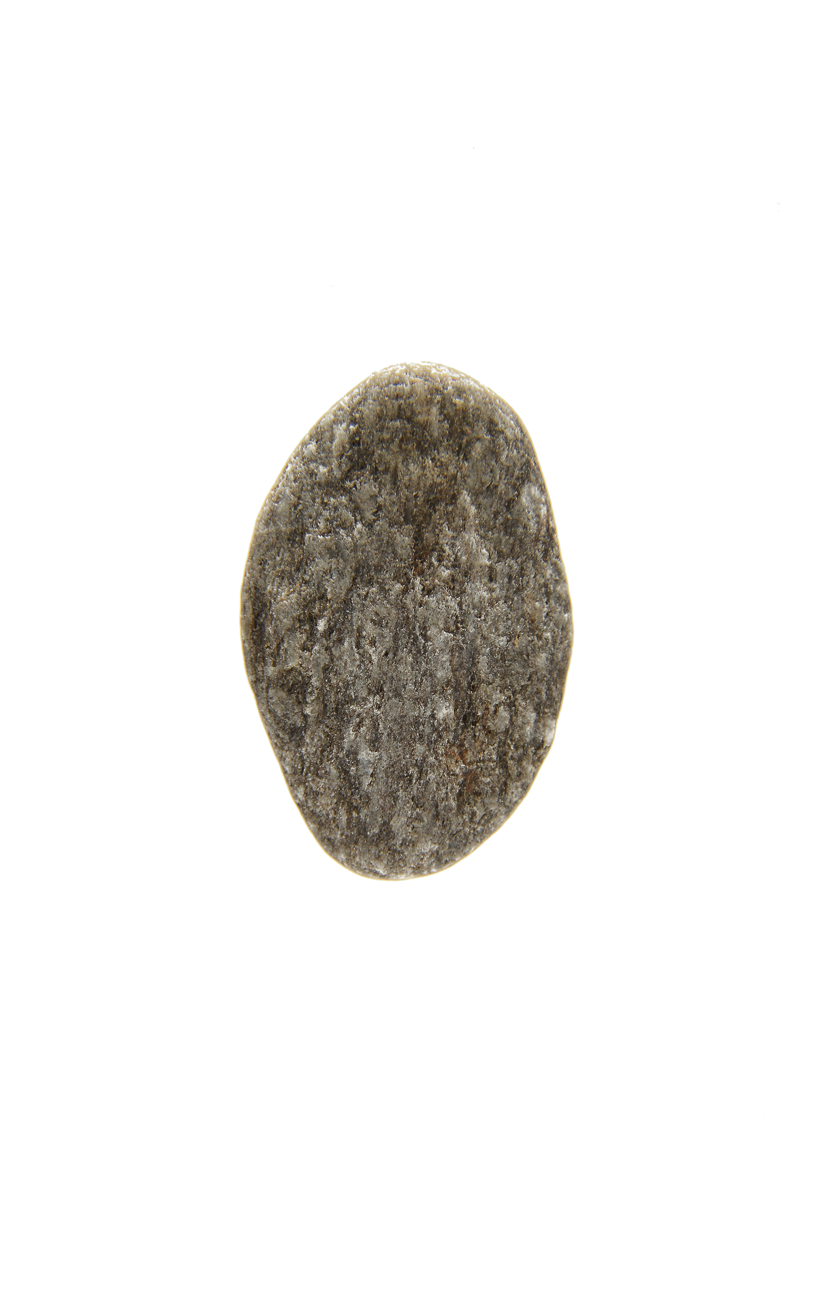 SVNR_stud_pyrite_40.jpg