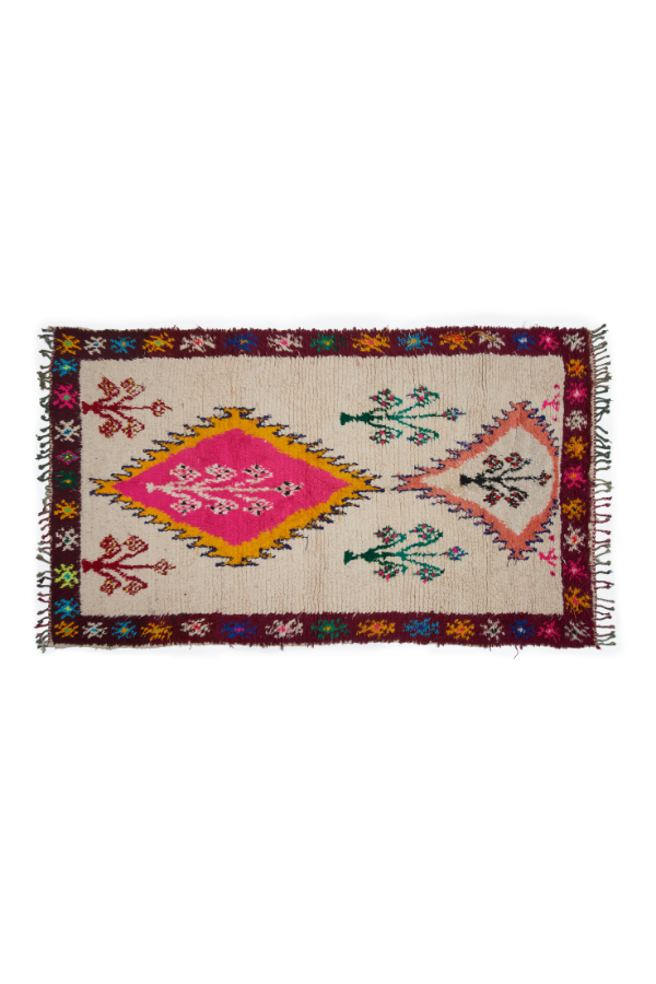 SVNR_Paisley Rug.png
