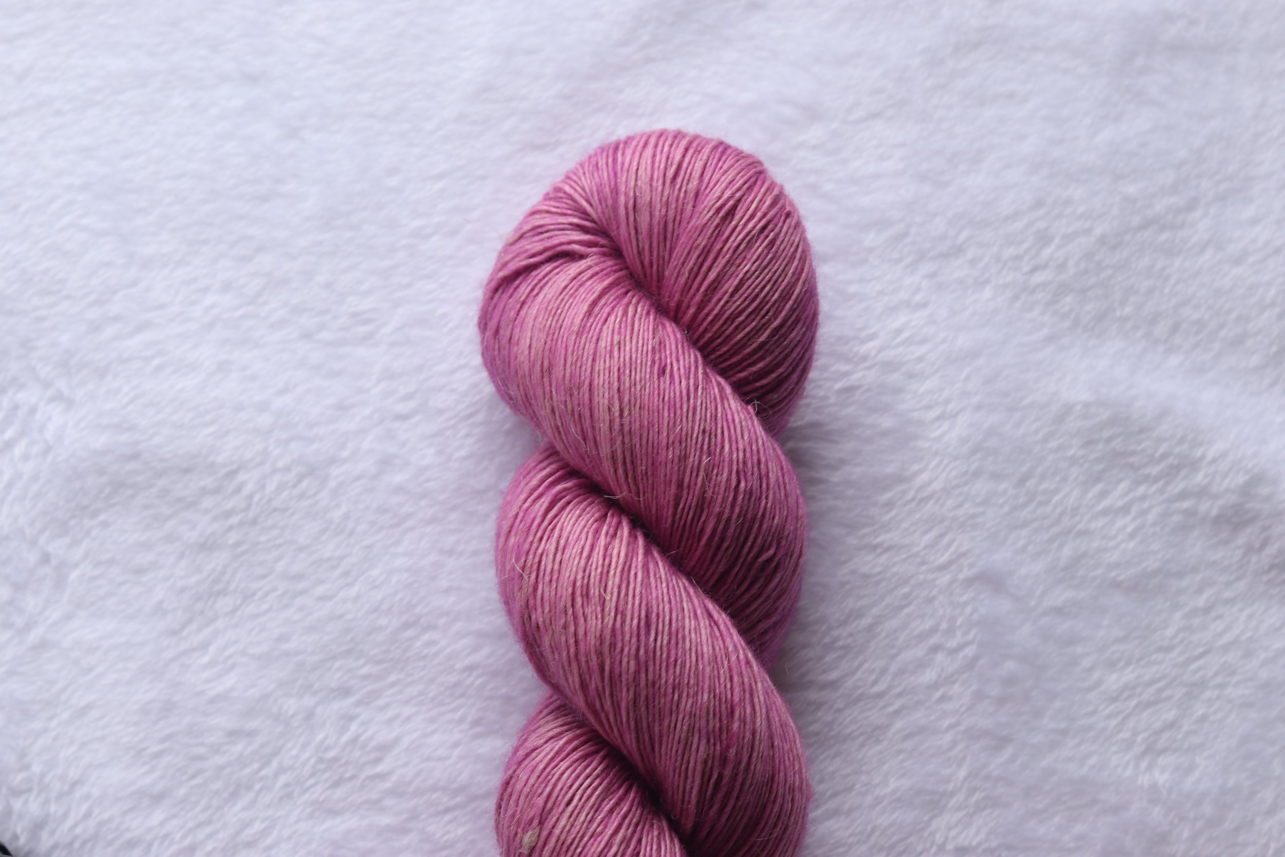 Wild Rose