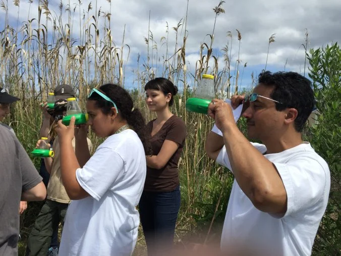 Youth of all ages learn about wetland ecology.