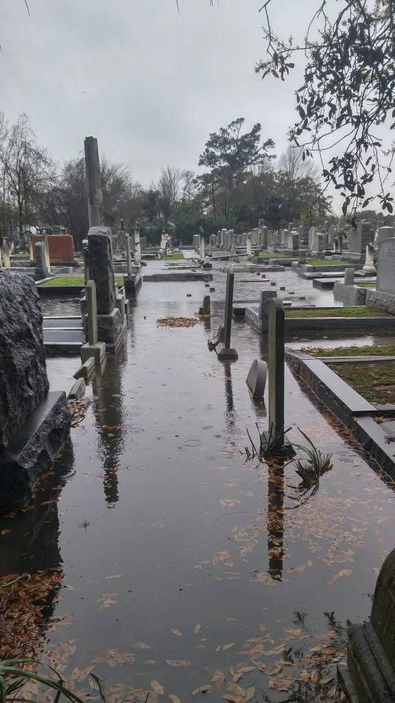 Chevra Thilim after a rainstorm