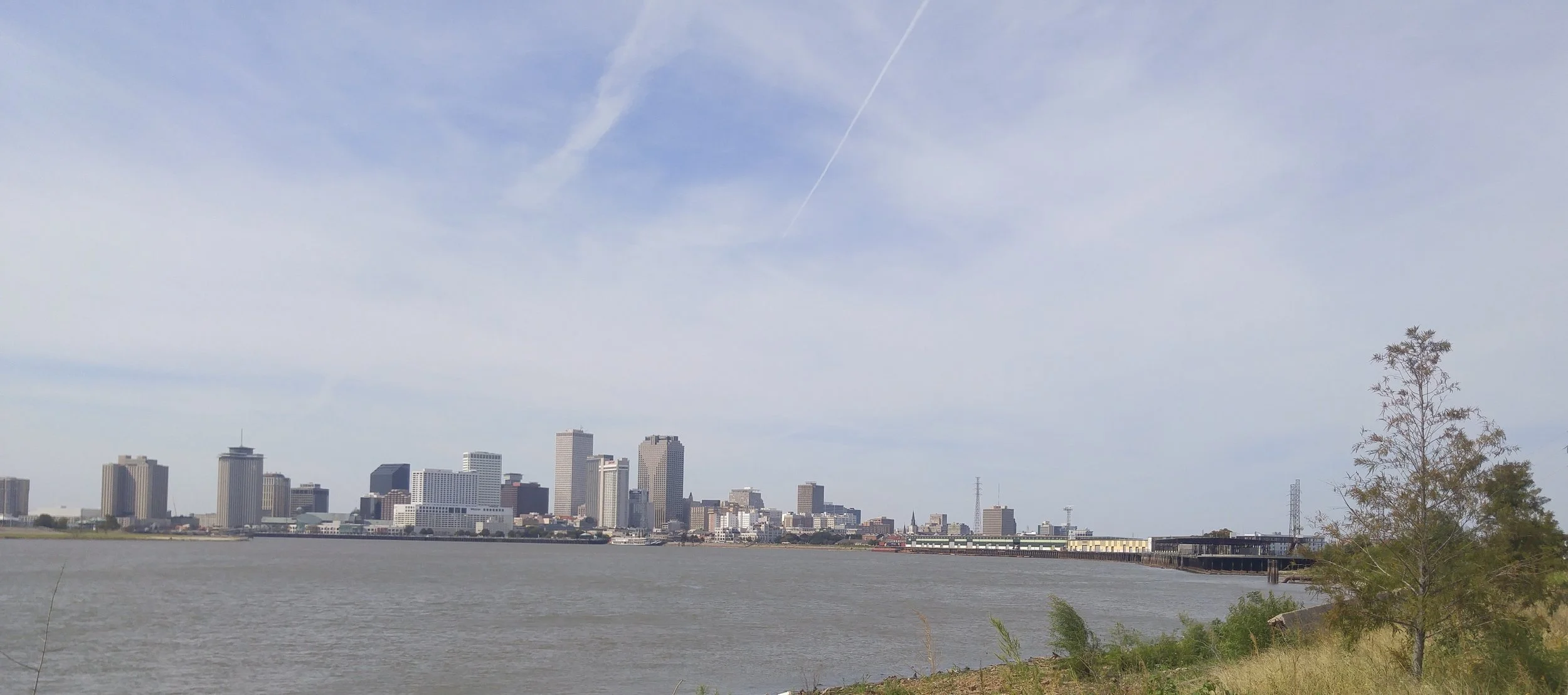 skyline for site.jpg