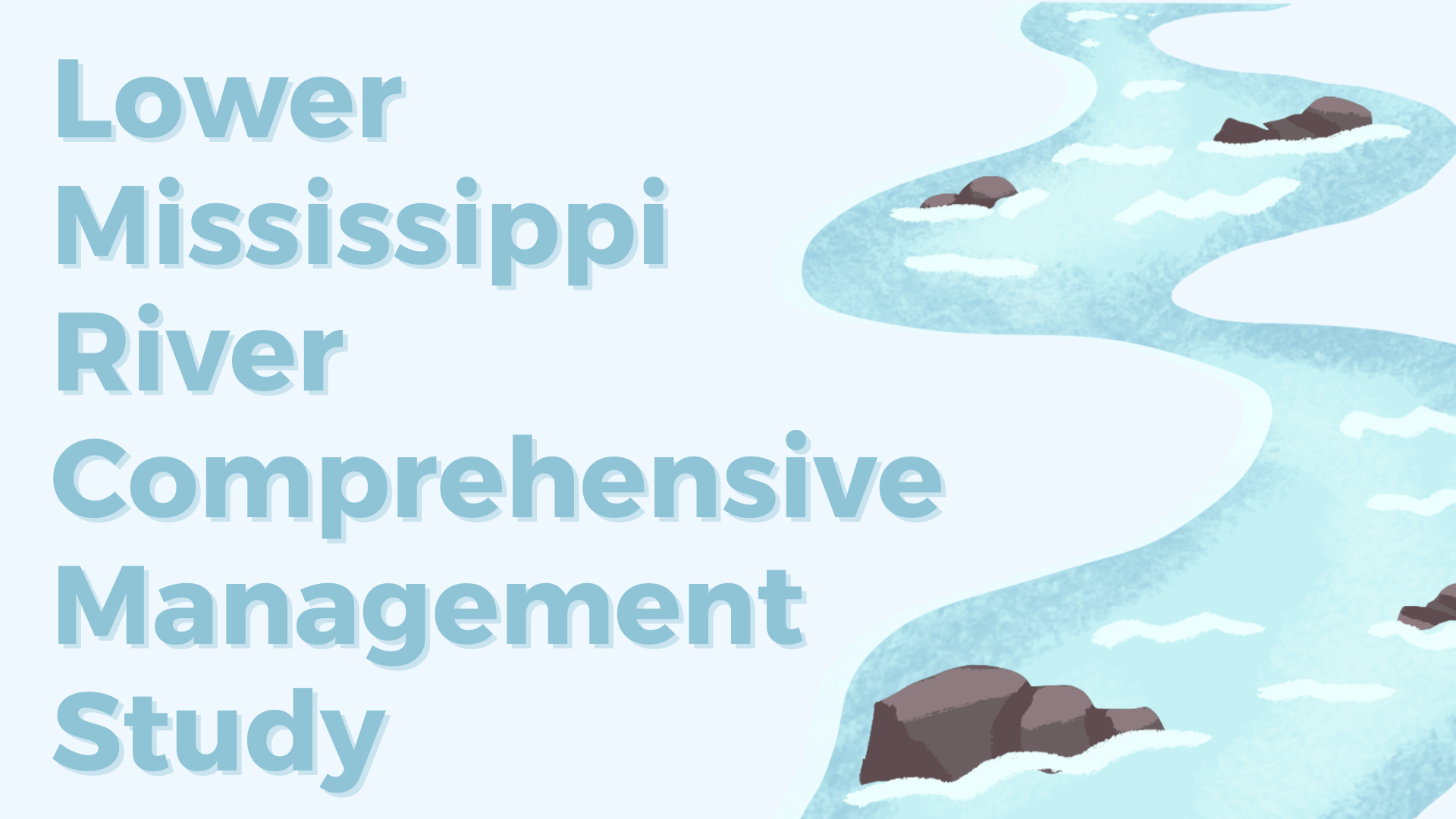 Lower Mississippi River Comprehensive Management Study 