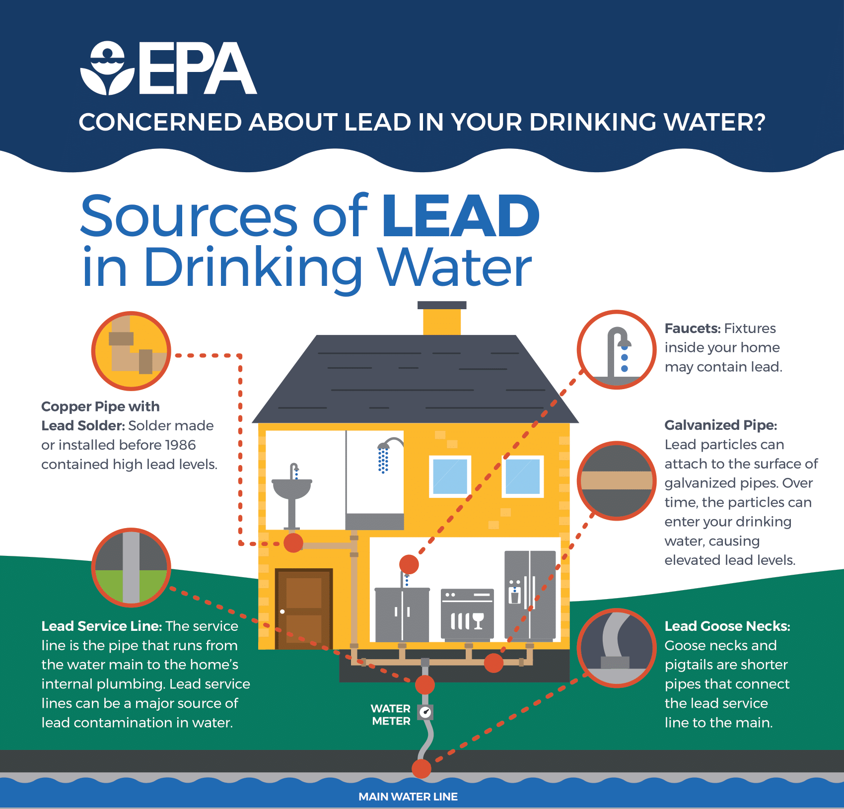Safety and Impacts of Lead-Contaminated Water
