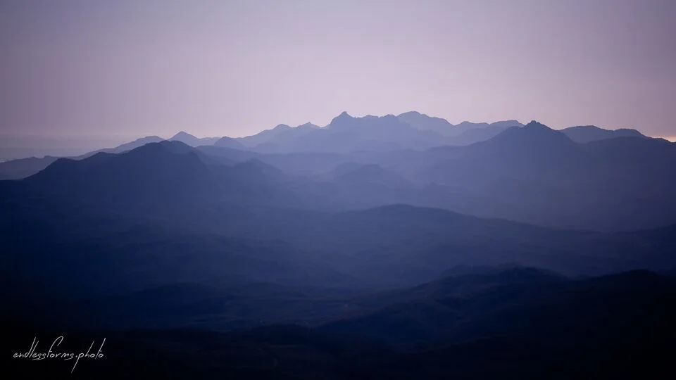 EF_Mountain backdrop.jpeg