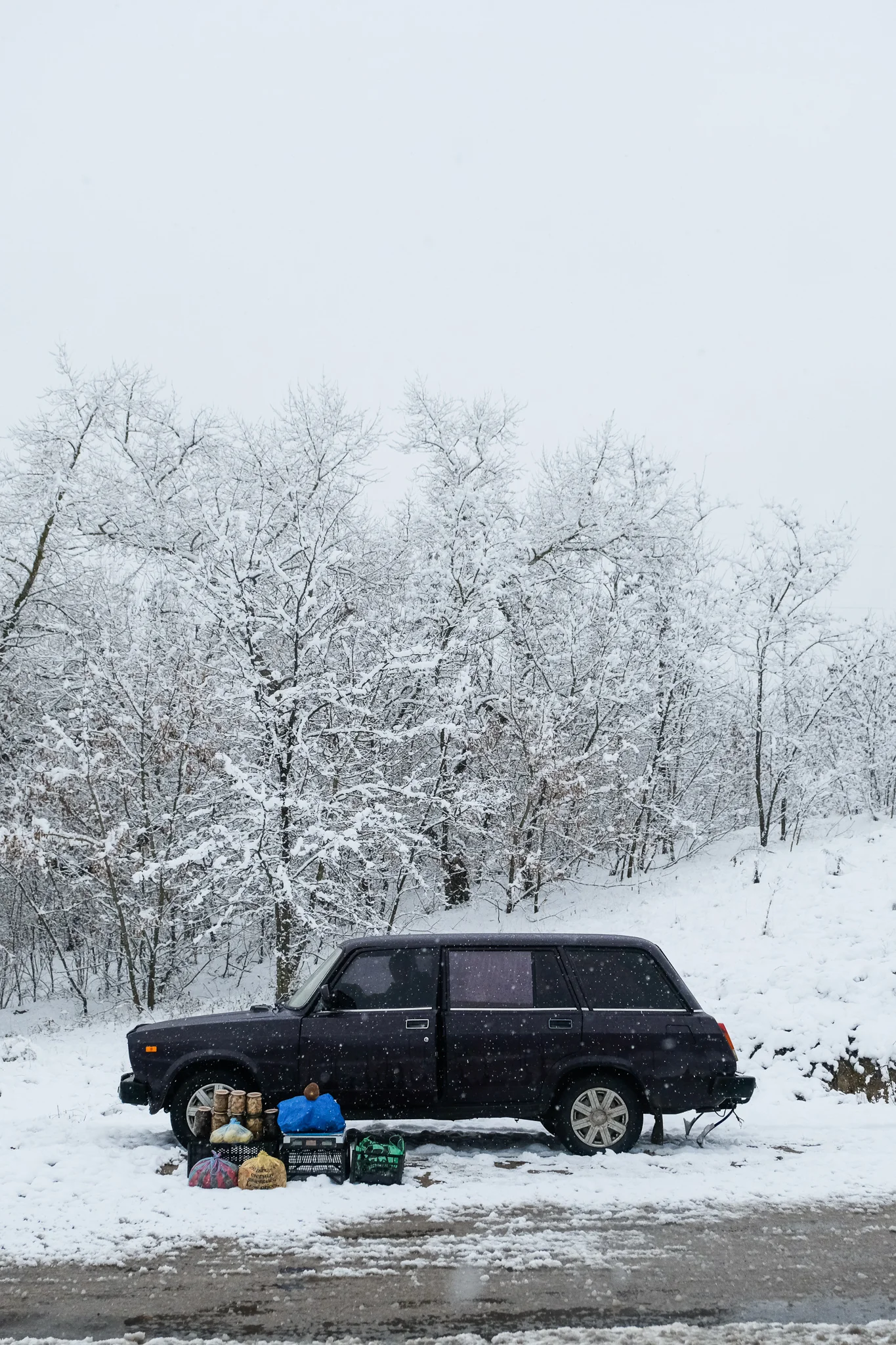 DSCF0716.jpg