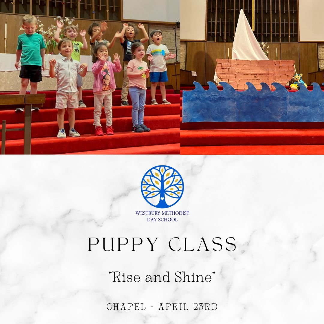 Copy of Chapel - Puppy Class 4232024.jpg