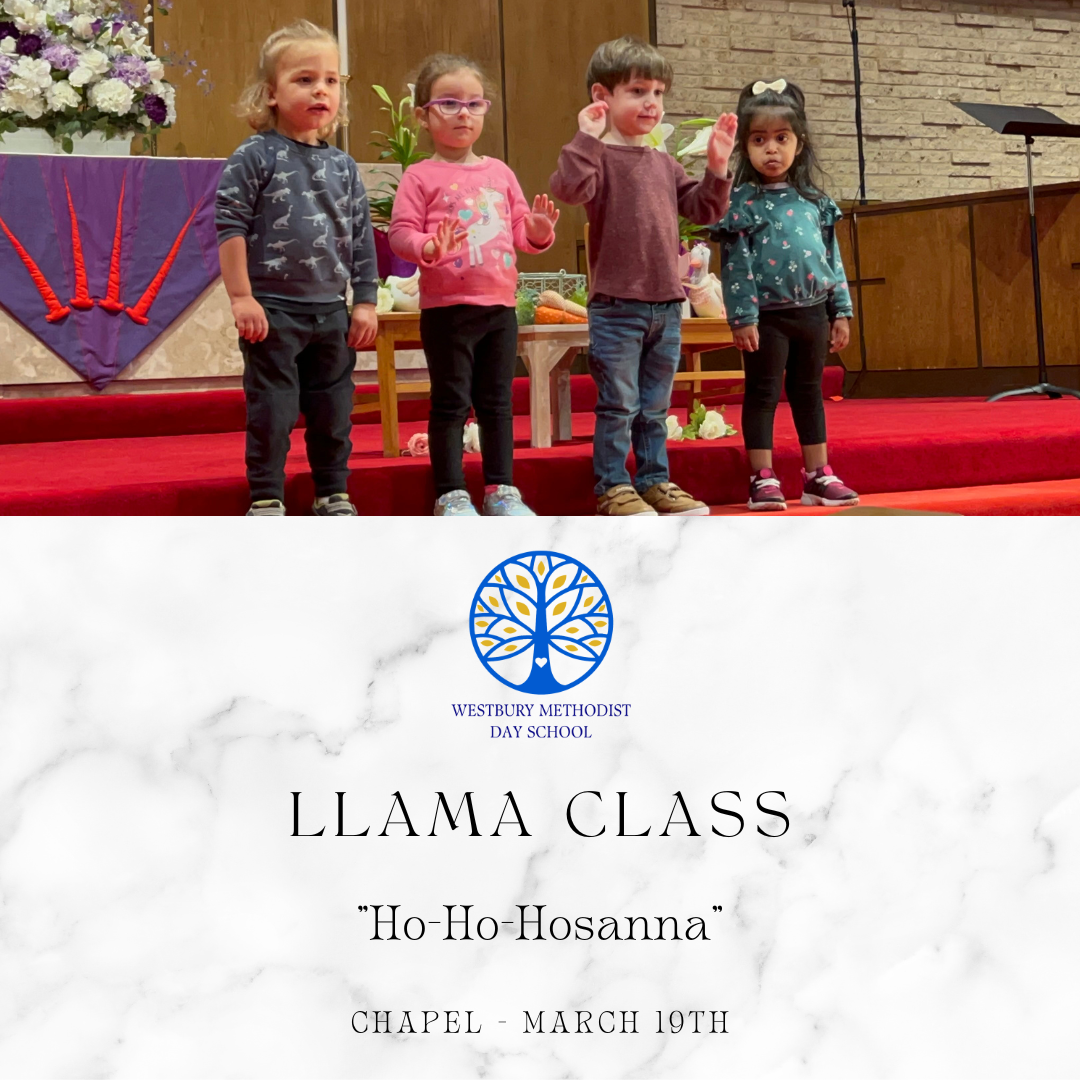 Chapel - Llama Class 3192024.png