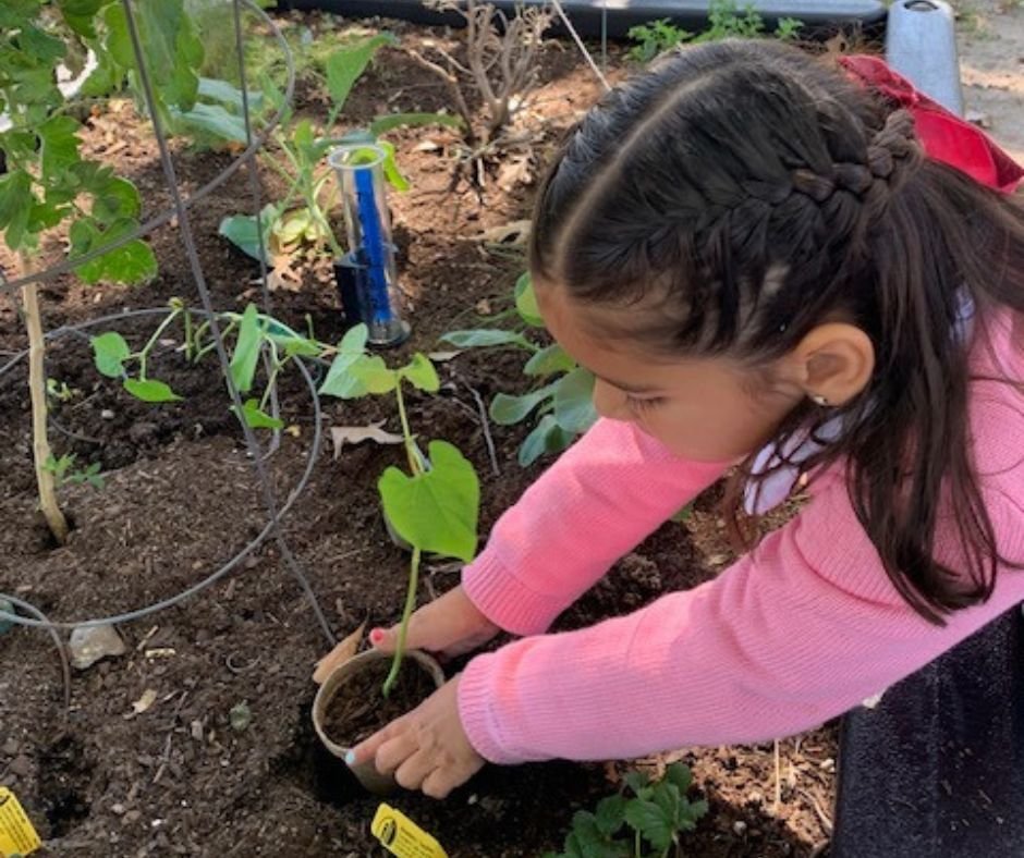 Untitled design (5).jpg