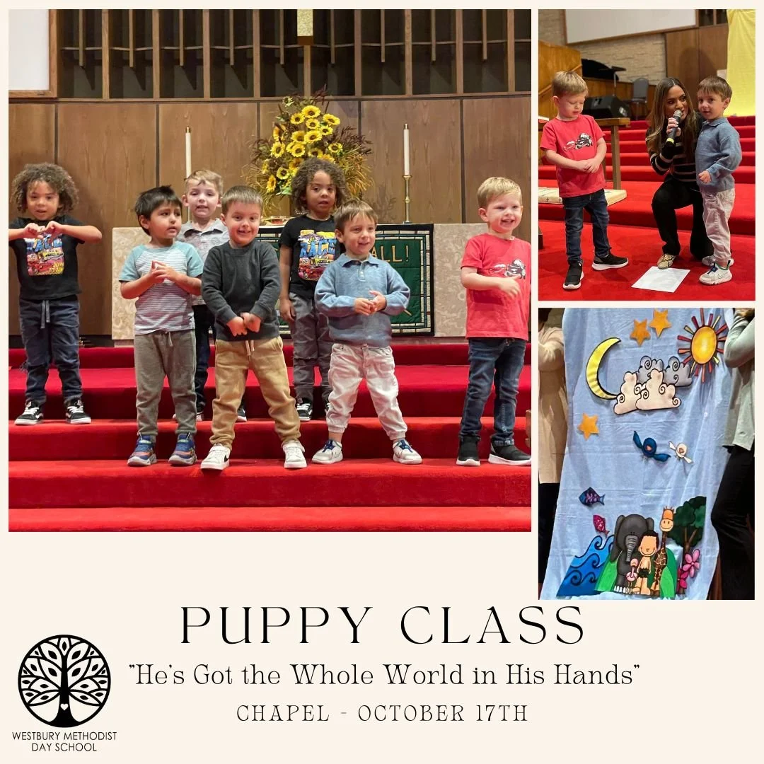 Chapel - Puppy Class — Westbury Methodist Day School