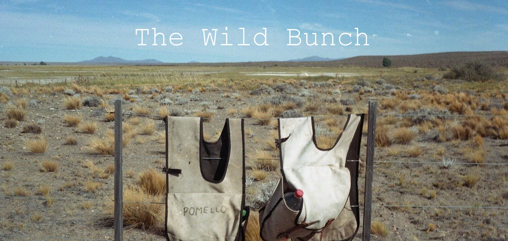 the wild bunch poster.jpg