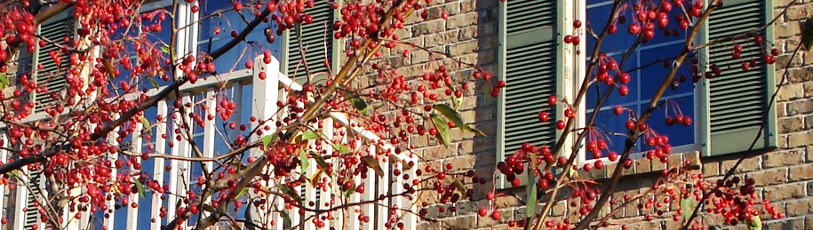 home-use-2.jpg