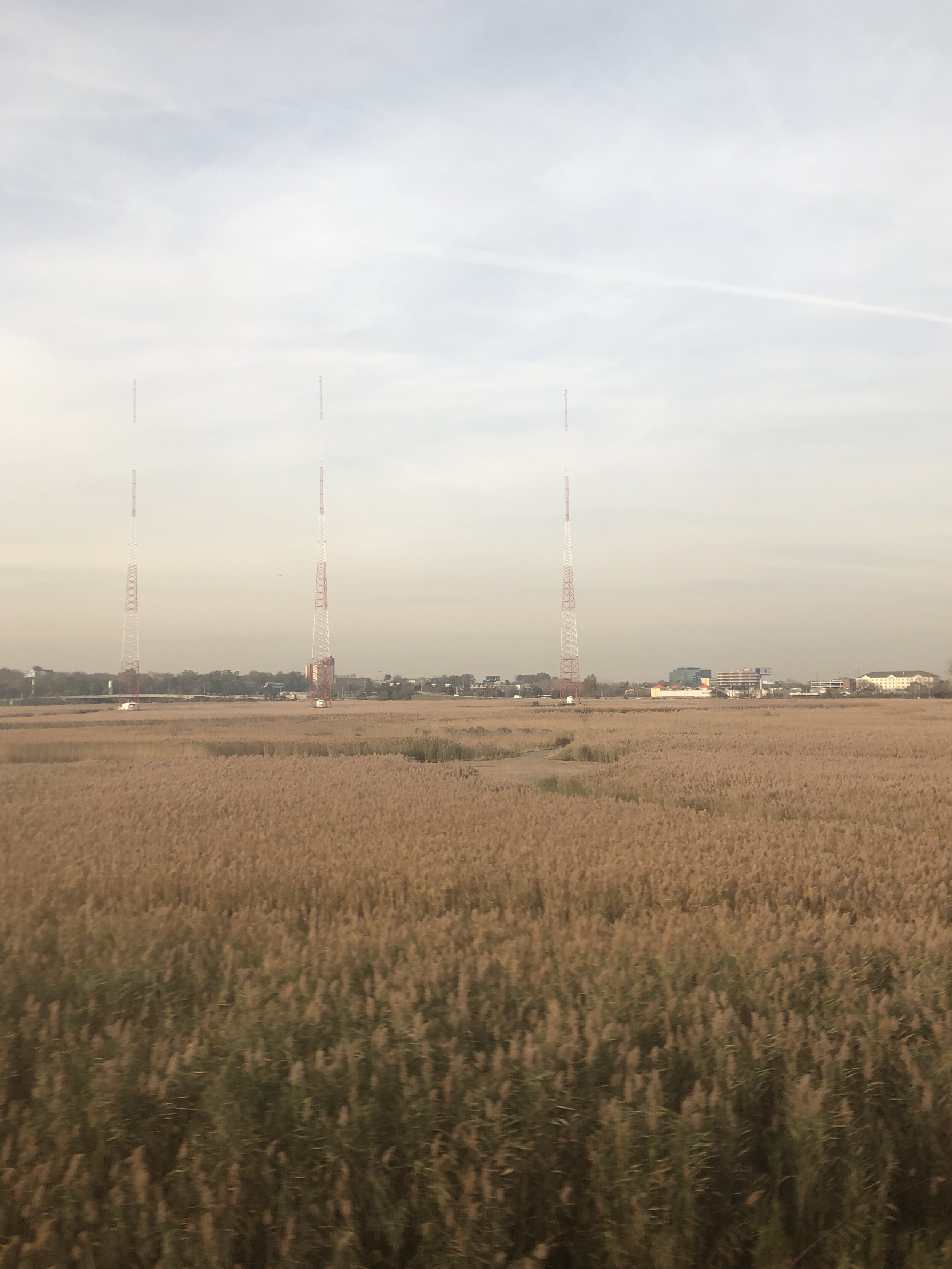 IMG_2280.jpeg