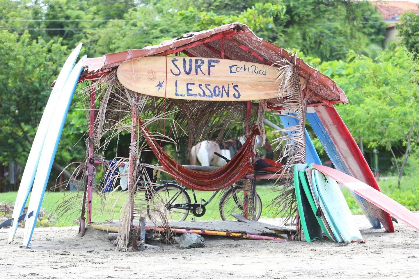 sjojw-surfing-0115-hor-clsc.jpg