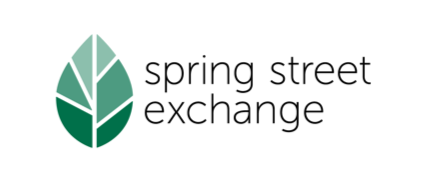 SSX Colored Logo.png