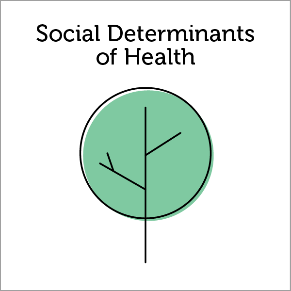 SDOH@2x.png