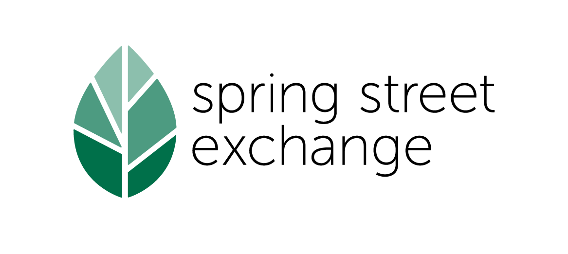 logo_SSX_color_onWhite-01.png