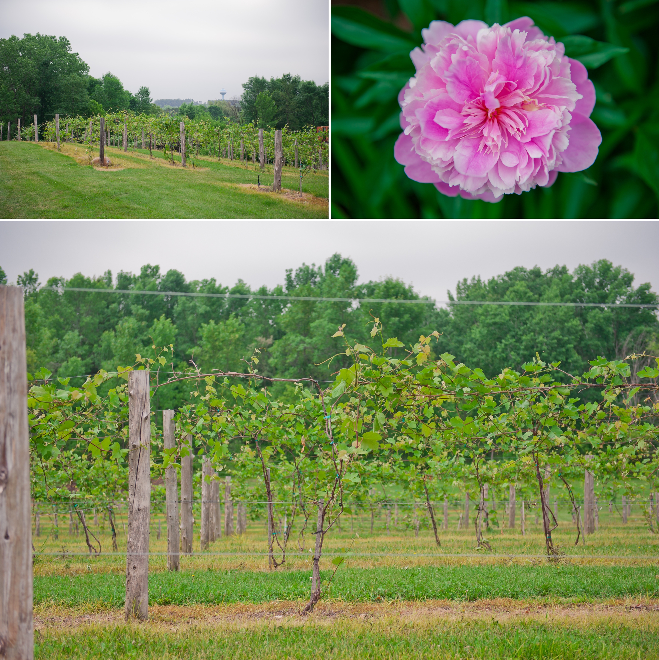 Wisconsin Wedding Venue, Givens Farm