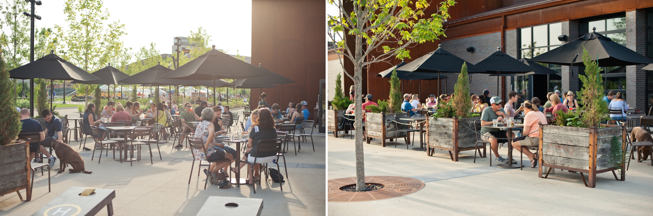 Green Bay Wedding Venue, Hinterland Brewery