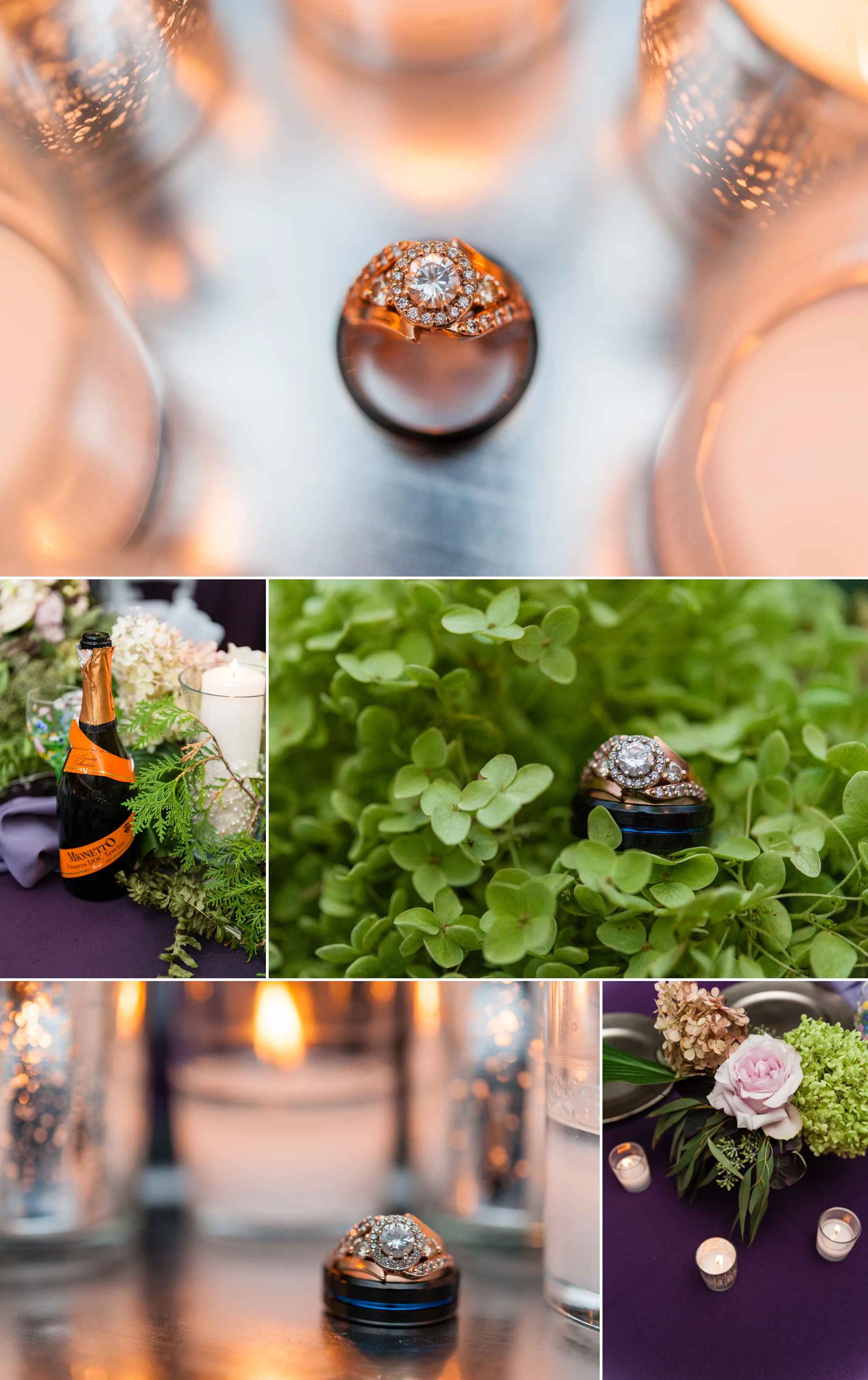 Wisconsin Wedding Photography, Green Bay Botanical Gardens